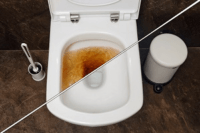 Débouchage d’un WC avec sanibroyeur